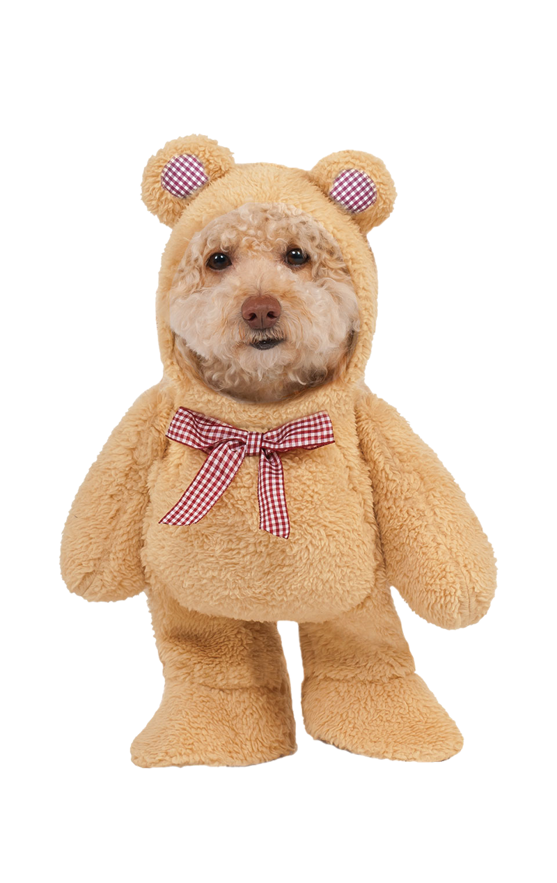 Dog Walking Teddy Bear Costume