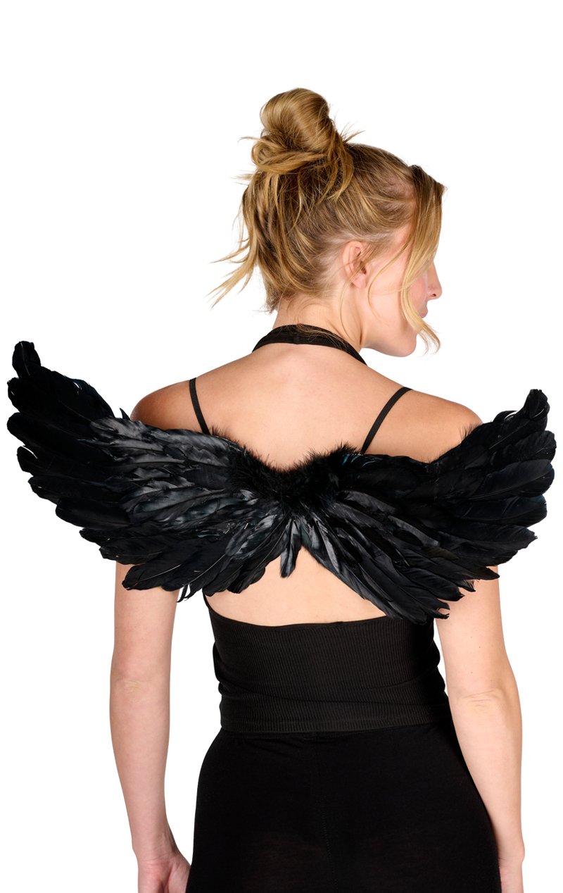 Black Feather Wings Accessory 55cm x 55cm - Simply Fancy Dress