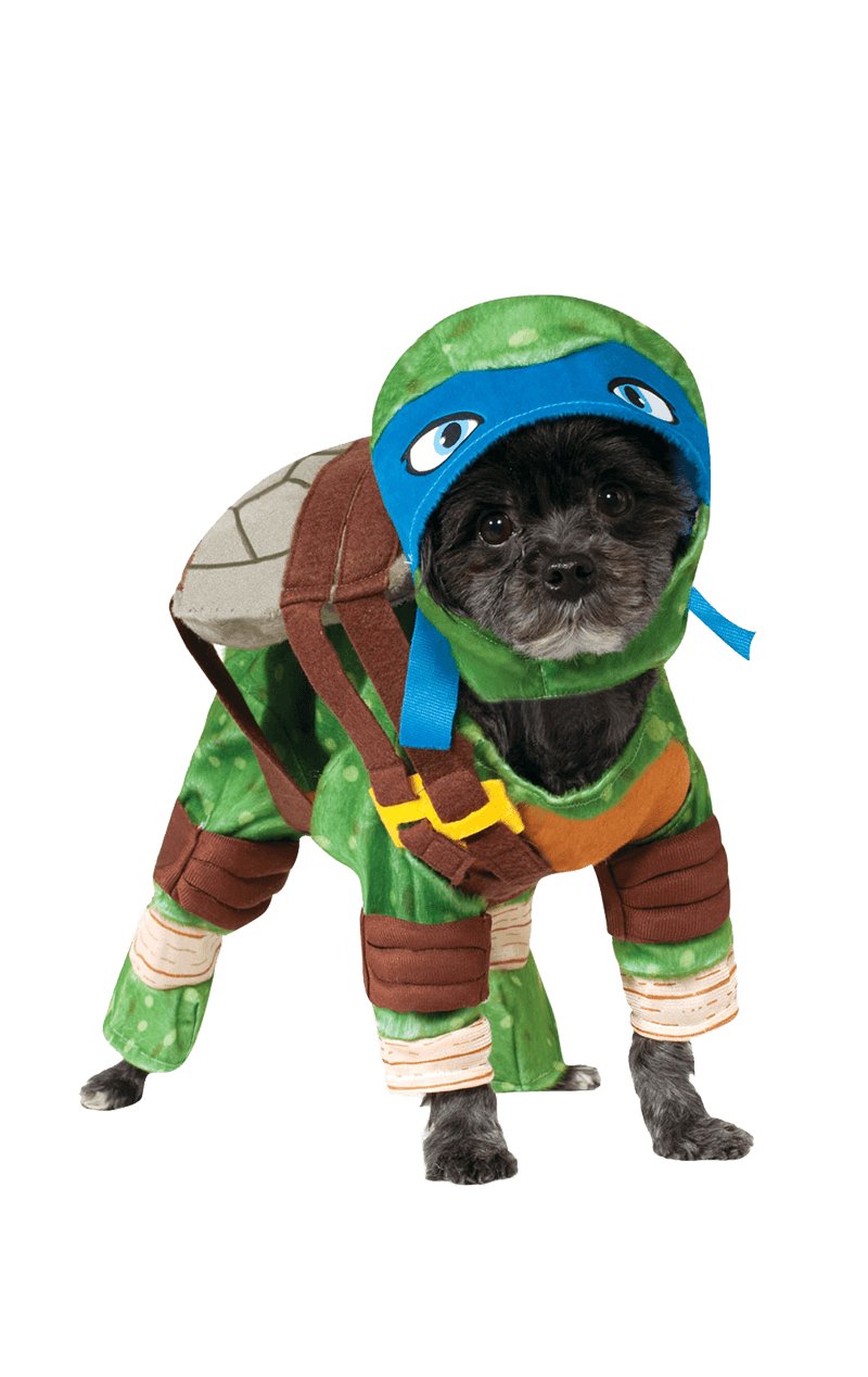 Leonardo - Simply Fancy Dress